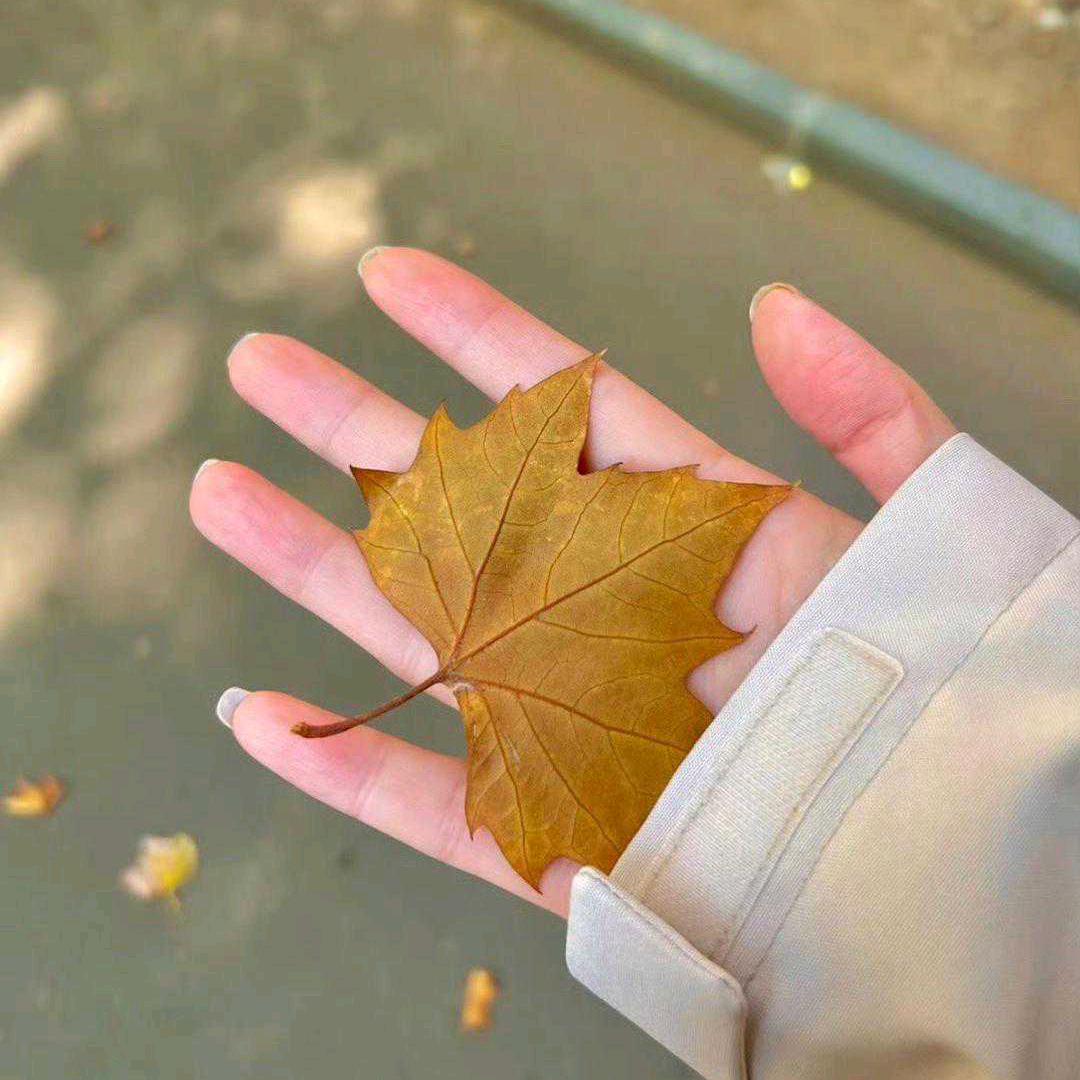 ᭄ල᭄往事💞清零♥ꦿ᭄