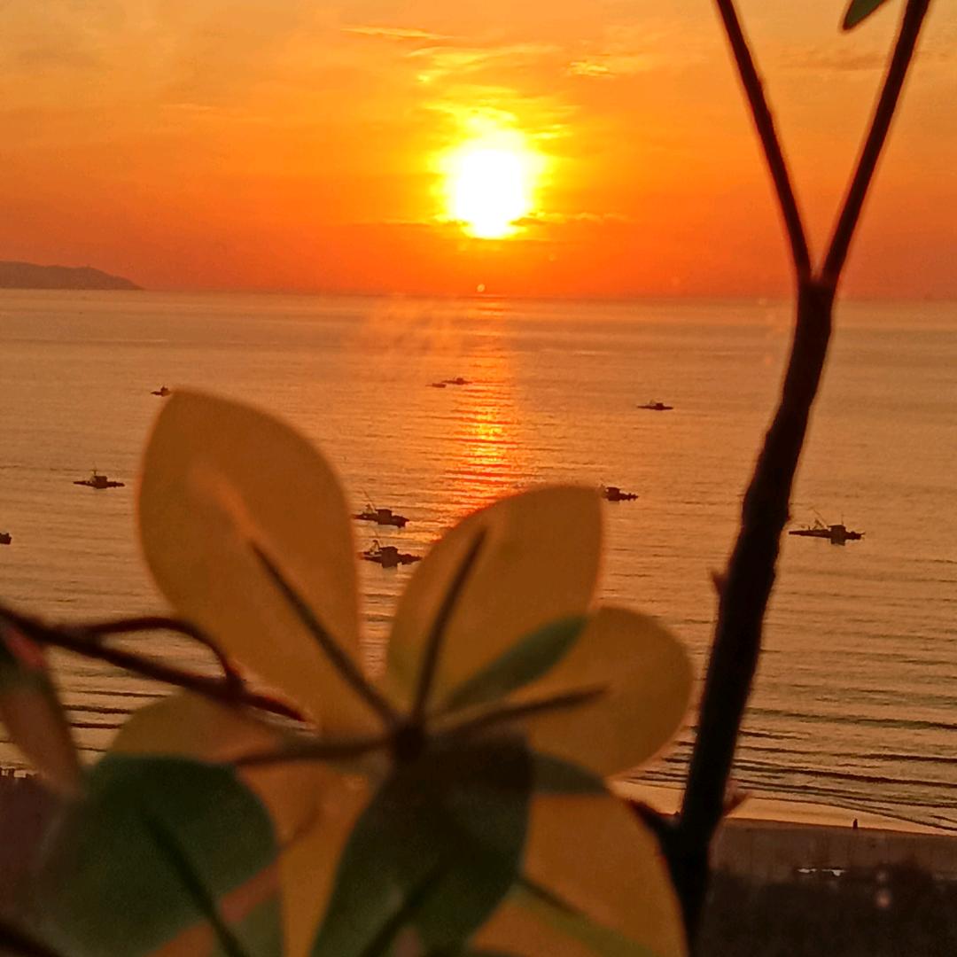 逐日追风年少时