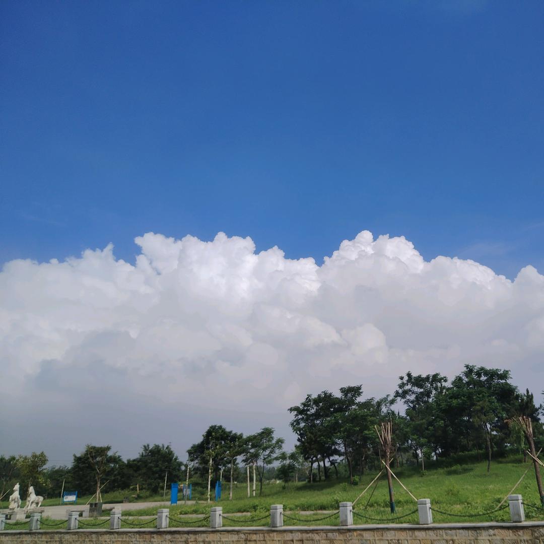 听说苦咖啡，苦