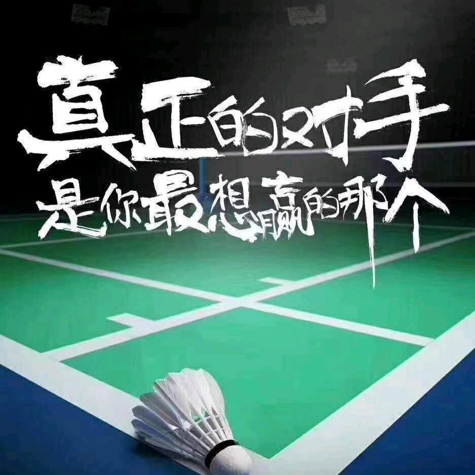 虹扬羽毛球馆@鑫雅体育
