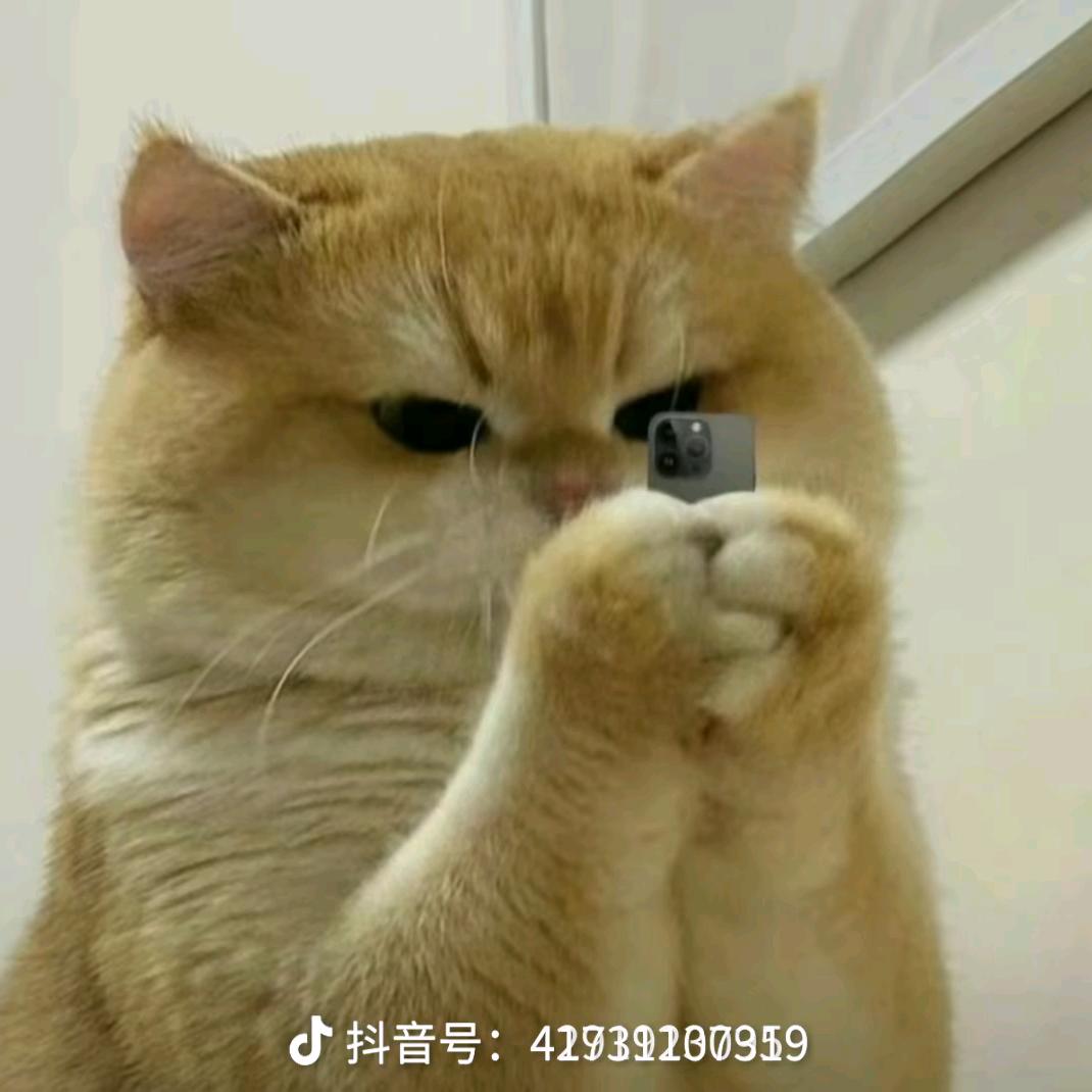 ★流浪★