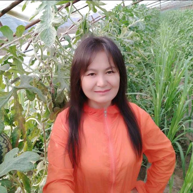 玲姐（早上6:10分首播）