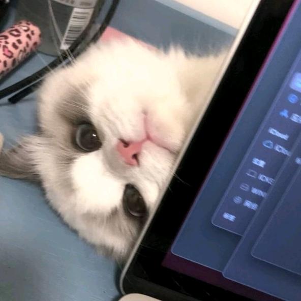 离过婚知道怎么疼男人