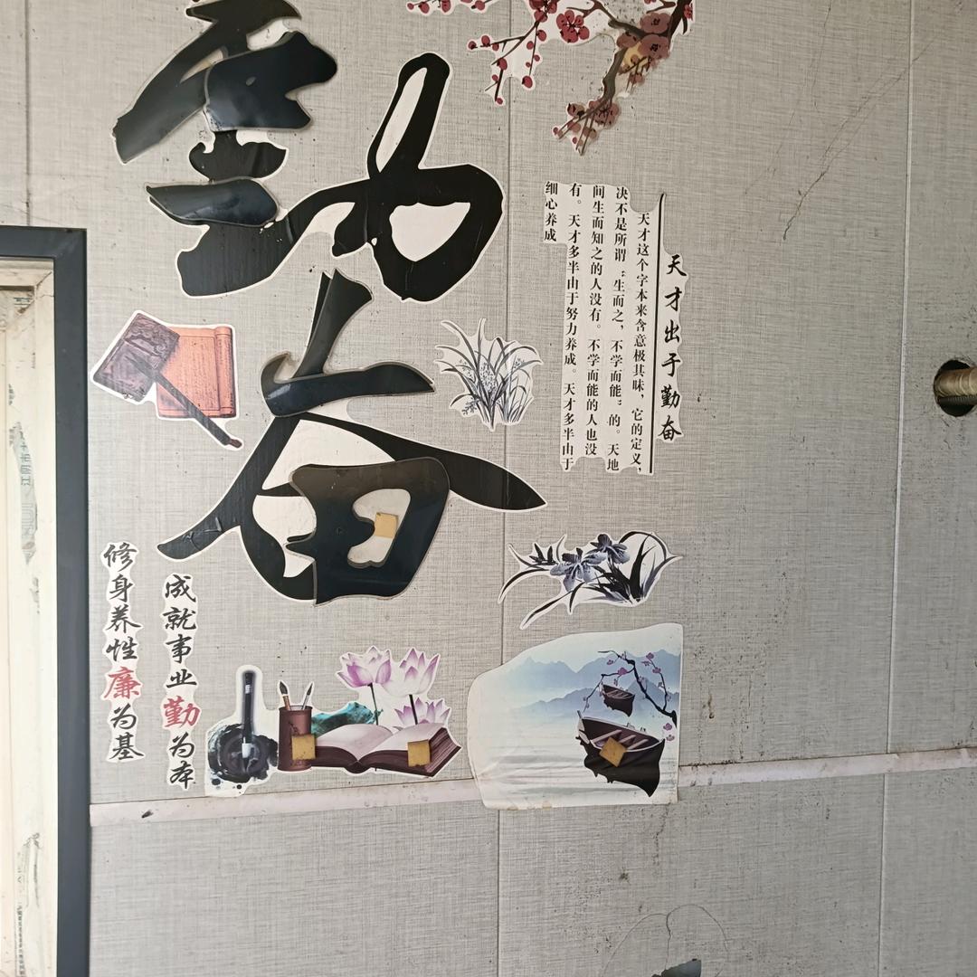 小鱼