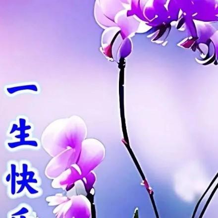 永远开心的大海