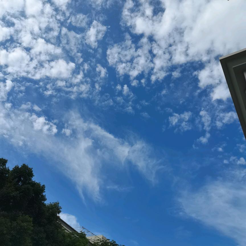 海阔天空小瑜