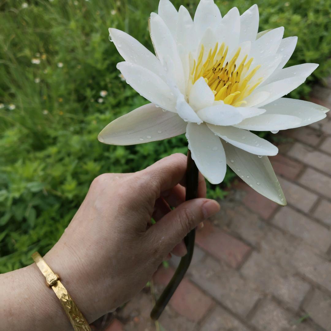 赣县金竺瑜伽馆