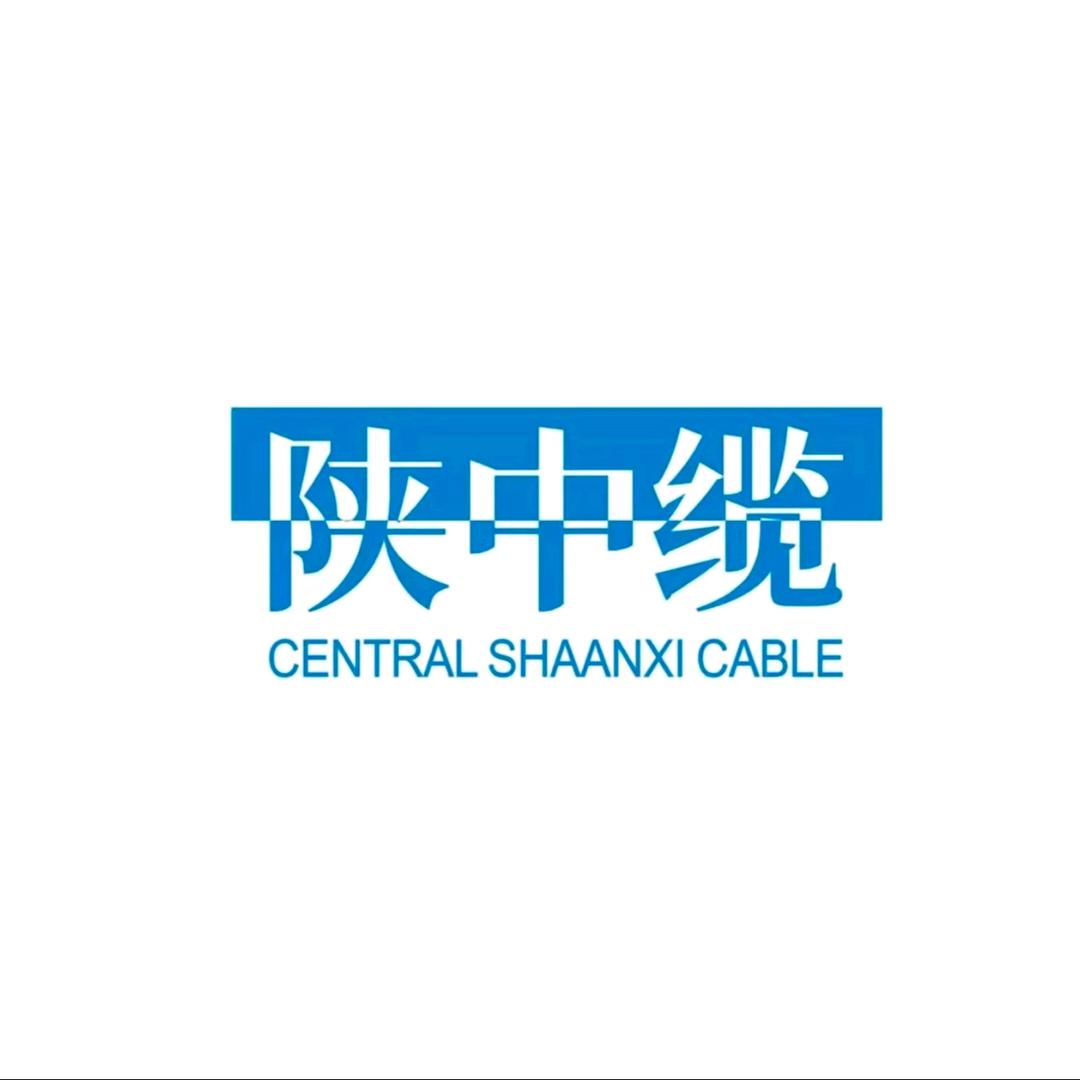 中缆电工电线电缆