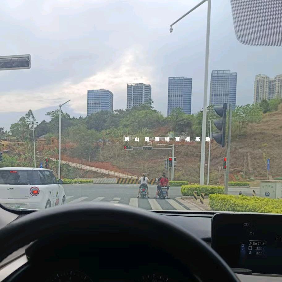 跑山鸡农家乐官方号