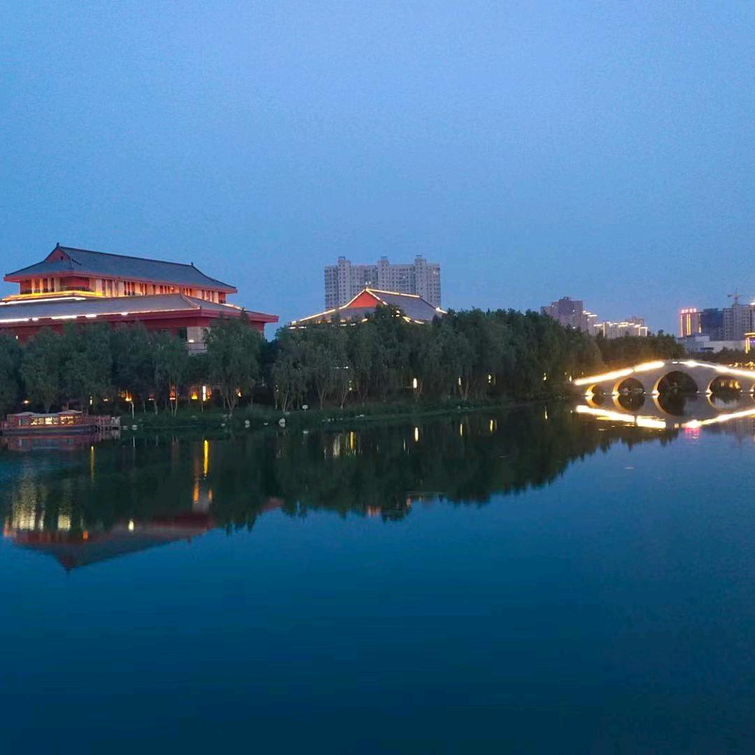 逆风飞翔—小杨哥