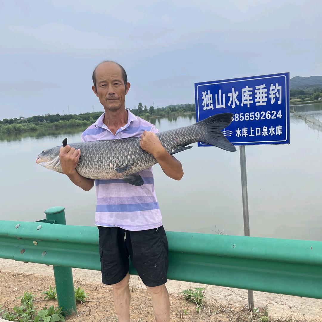 和县独山水库垂钓
