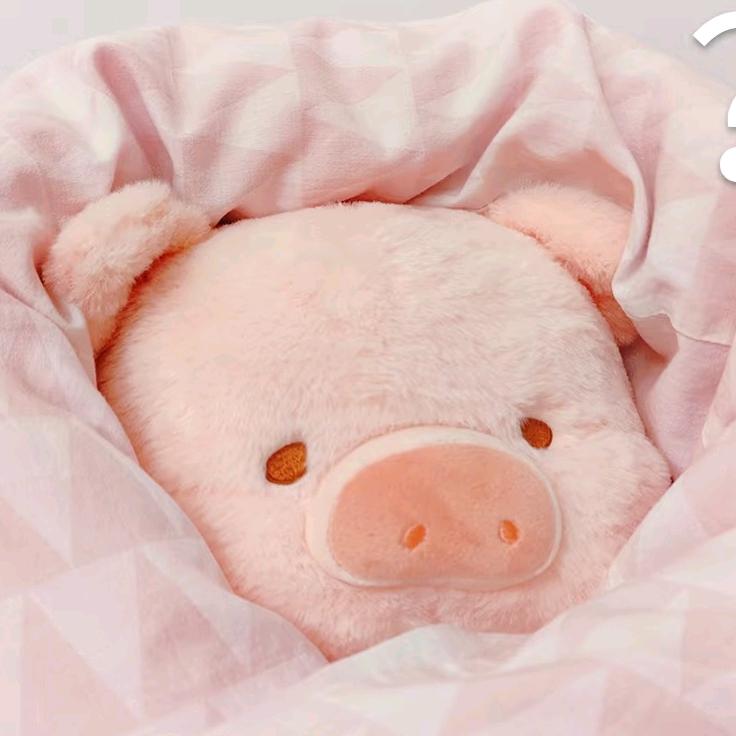 不语⁰⁸²⁷🍁