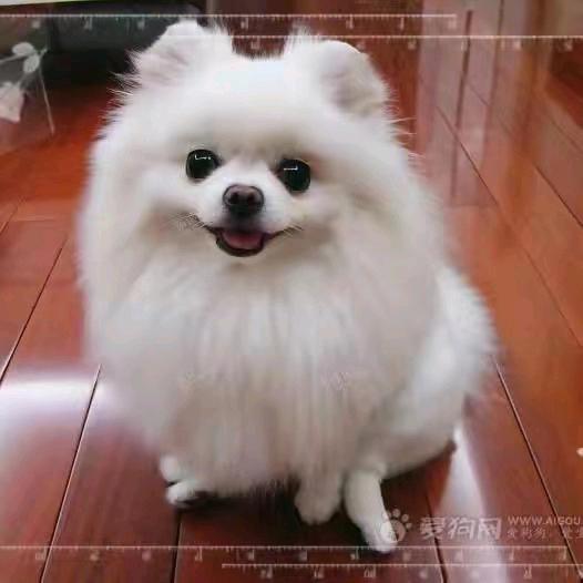 李长根