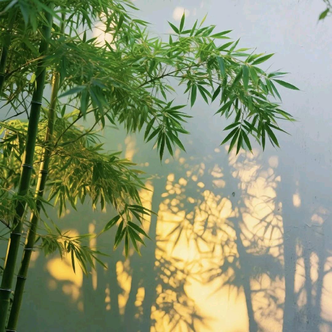 螺蛳粉加炸蛋