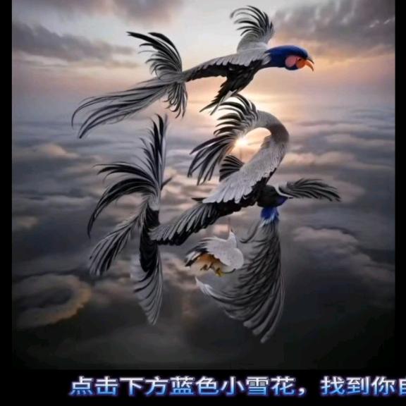 无奈