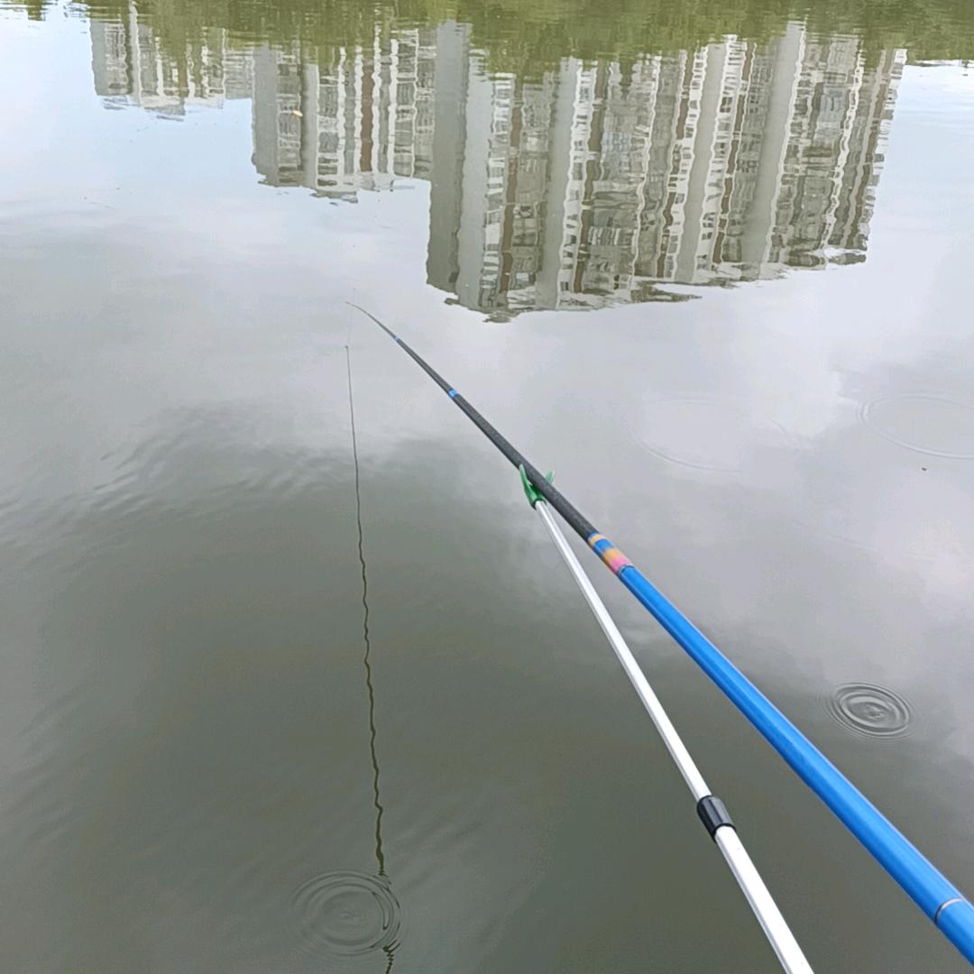 往事随风起,风止意难平~