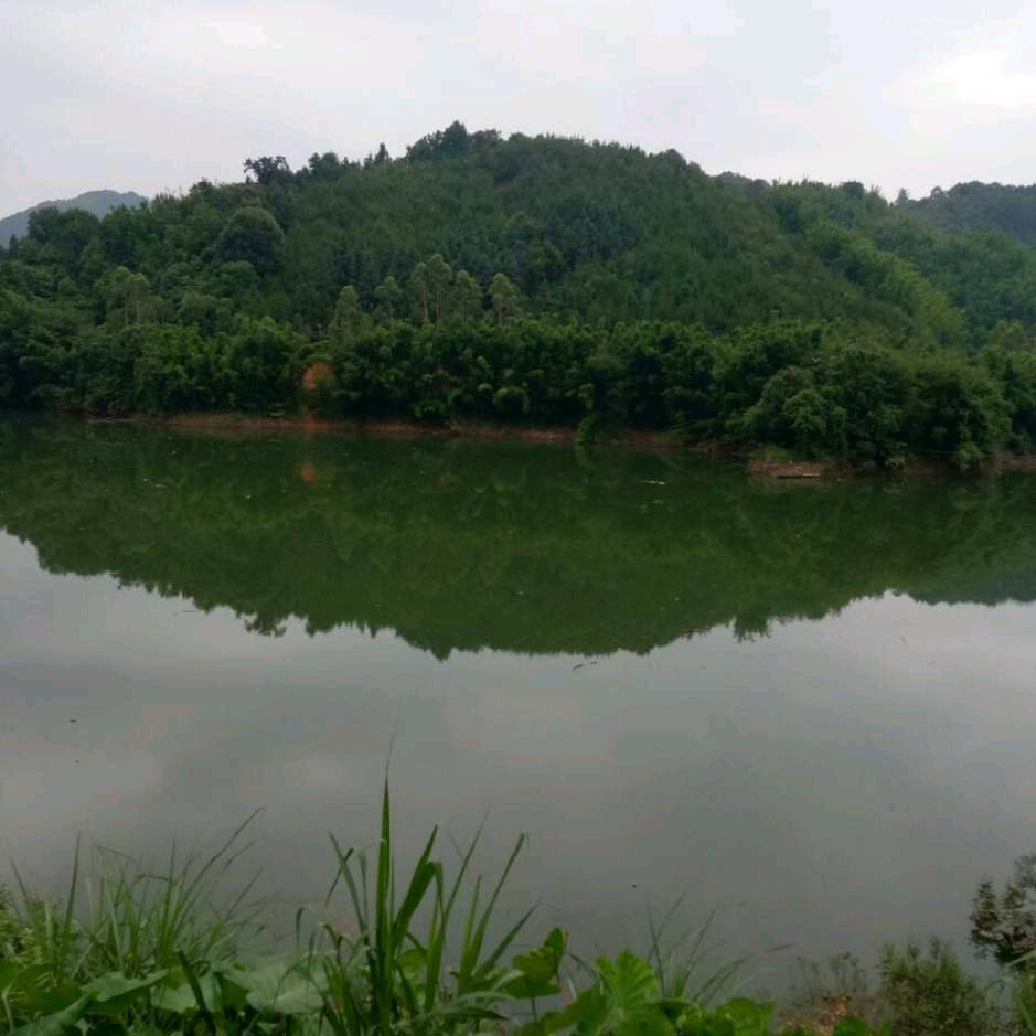 李仲林