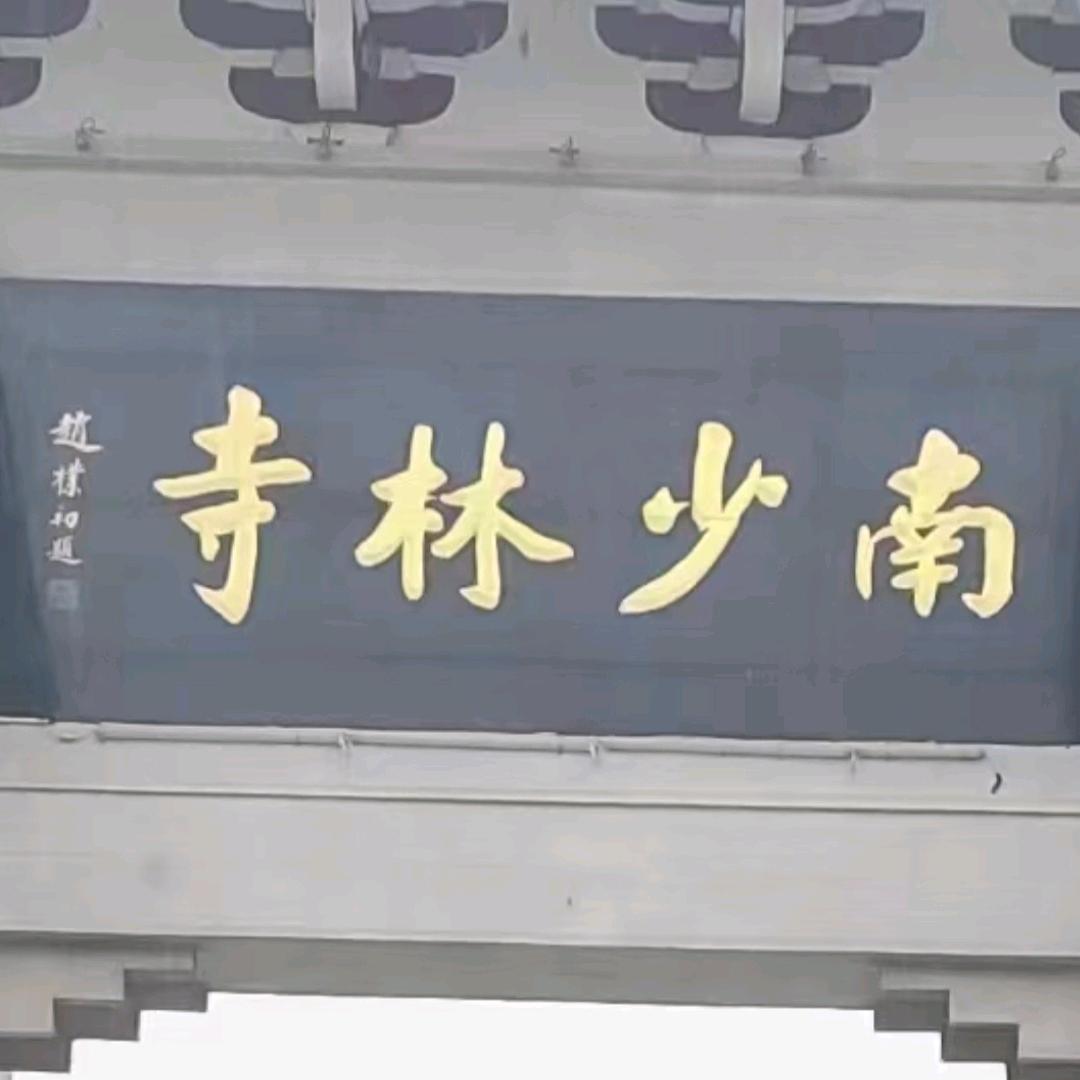 牵着蚂蚁去散步。