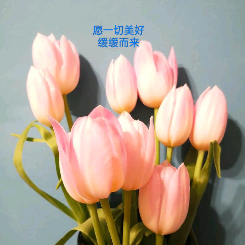 暖阳入吾心
