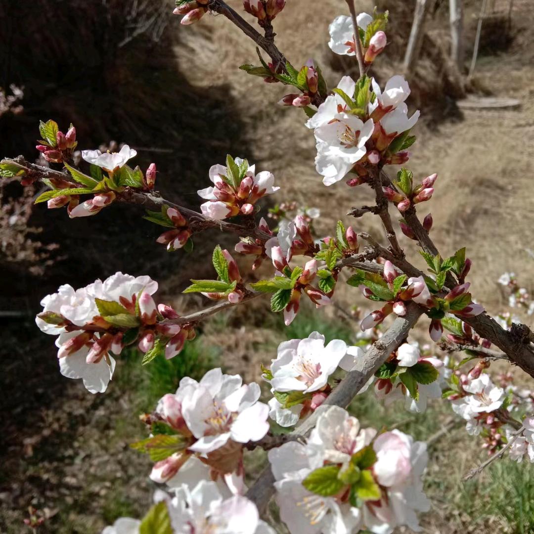 开心快乐每一天