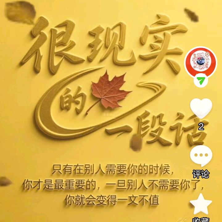 直看不刷
