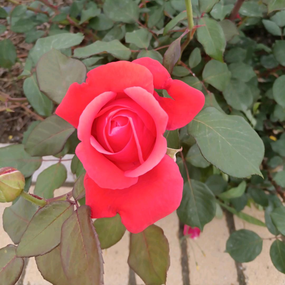 🌊珍惜每一天🌊