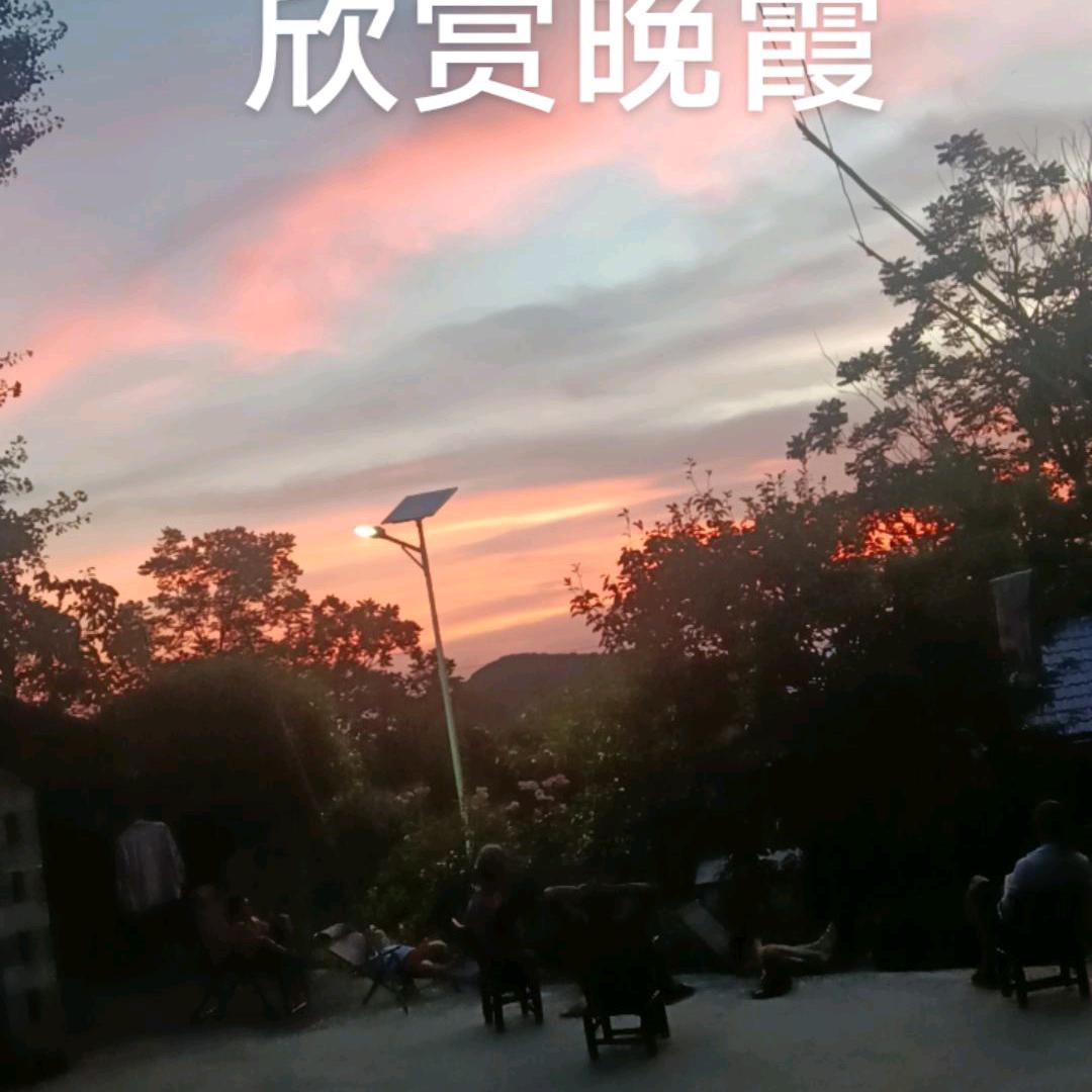简@爱