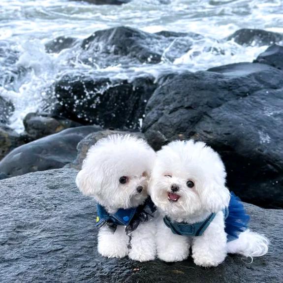 @এ᭄慕清ོꦿ：এ᭄ོꦿ