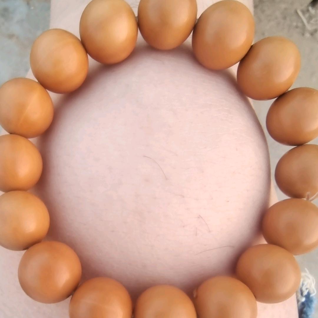 学