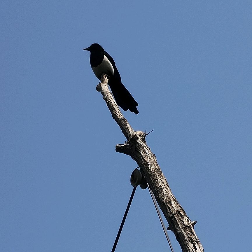 玉红四件套源头工厂