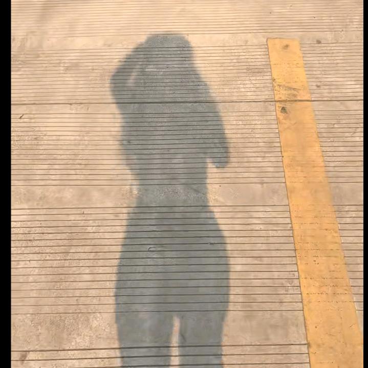 非正常人类研究师