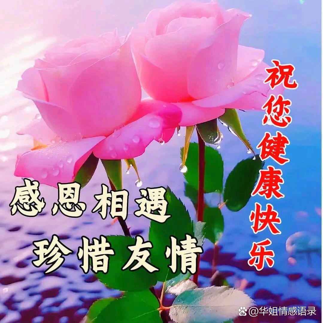 开心每一天🌹🌹🌹
