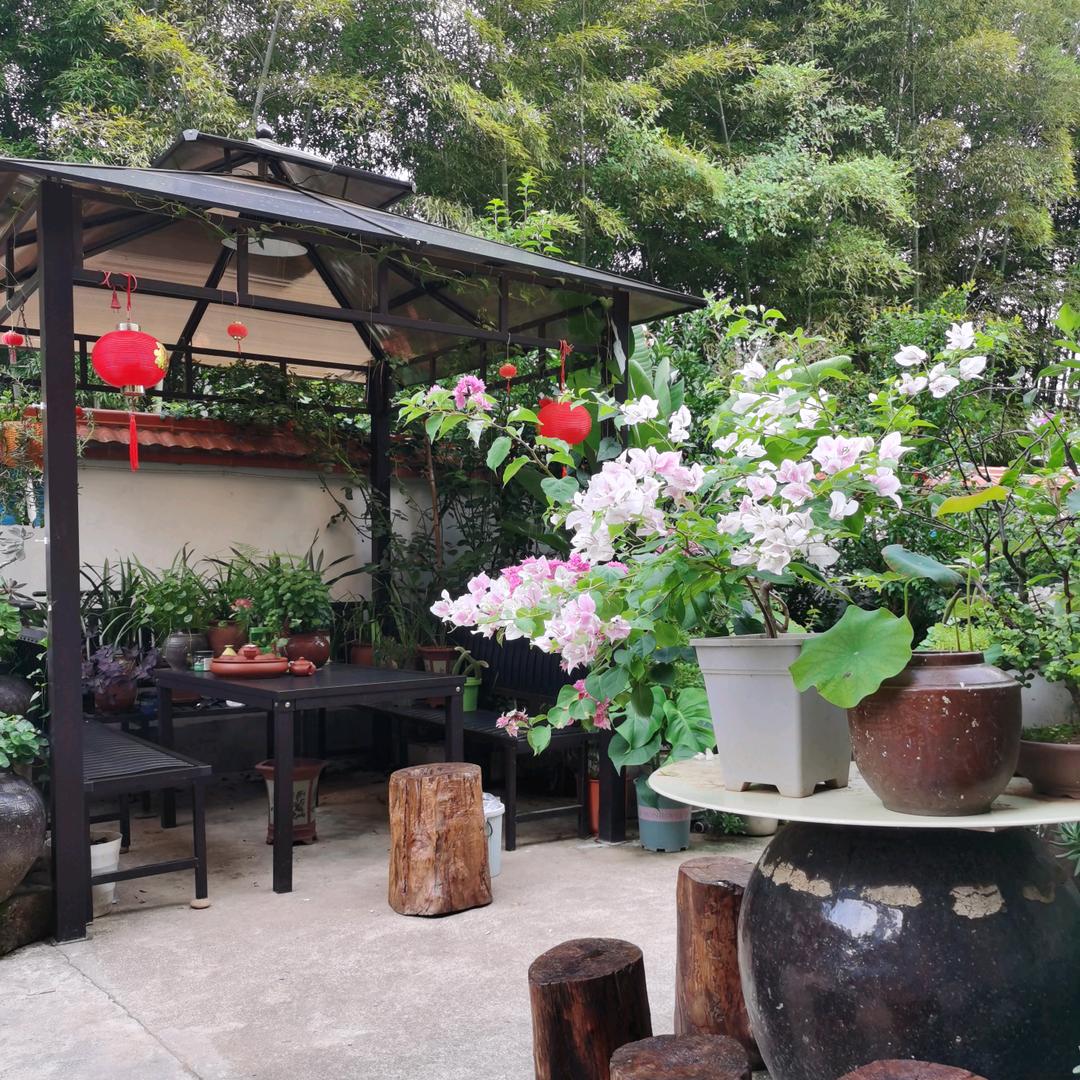 伟哥小院💓