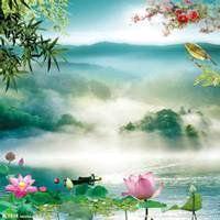 樟树市意柳花卉种植园