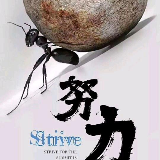 奋斗一生