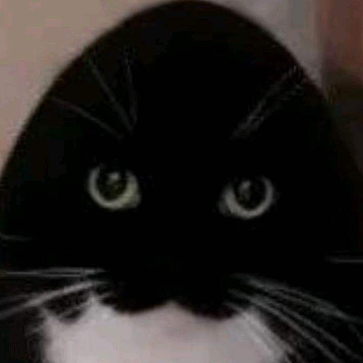 JERRY
