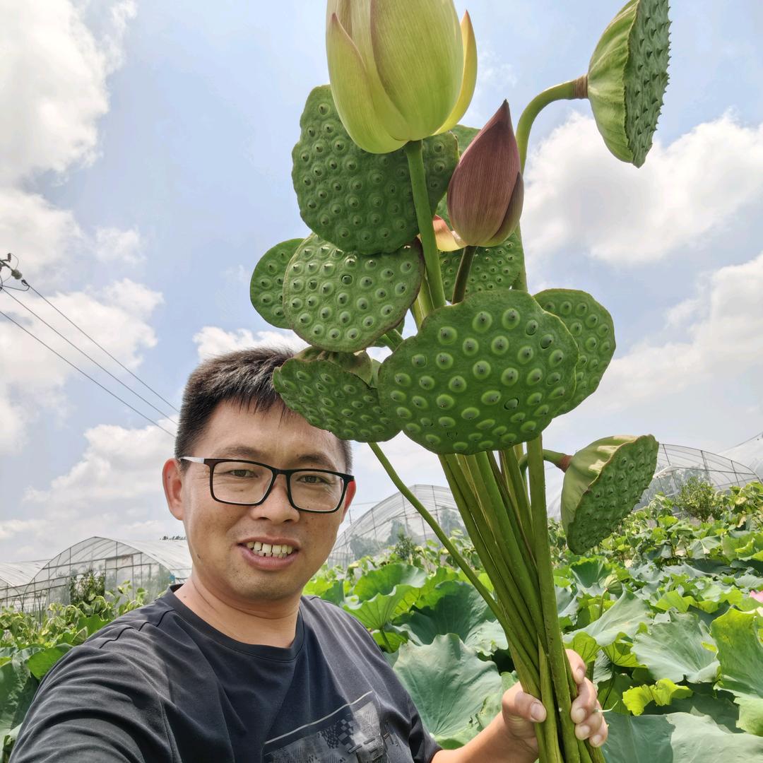 大春（春野农场）