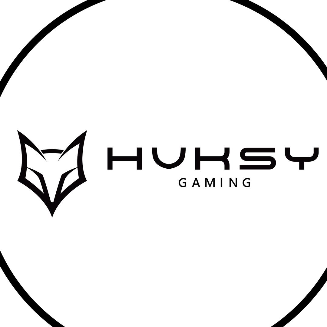 美商骇兽HVKSY