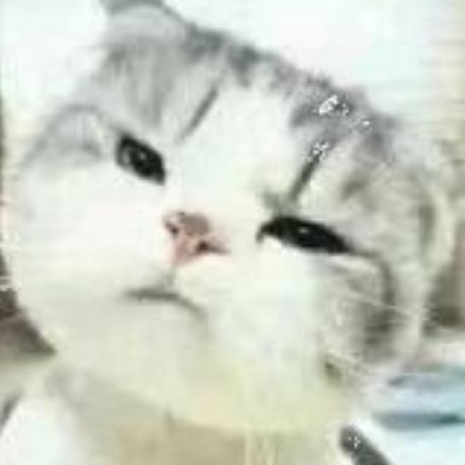 小七想暴富