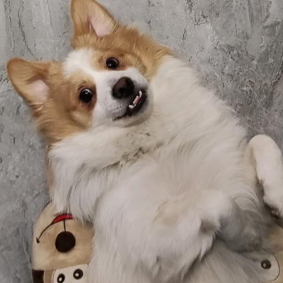 大咪的耳机手表小店