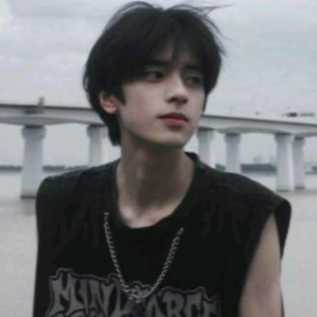 开心生日小狗在天涯