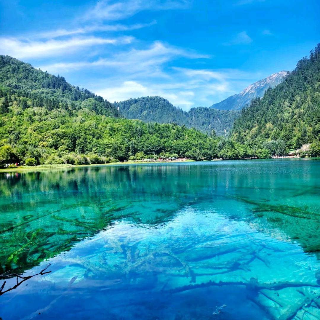 湖北芝麻酱