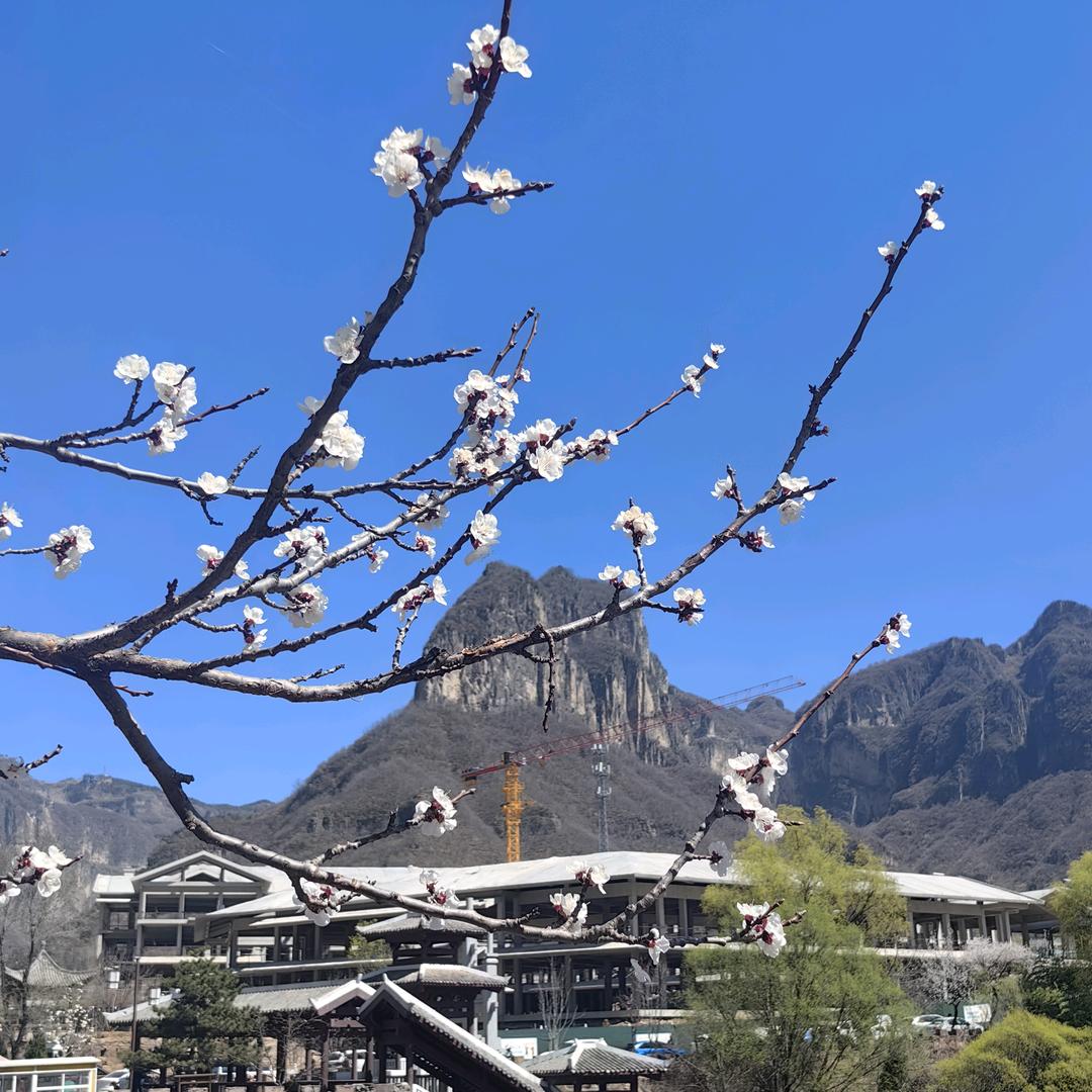 @汝州抖音