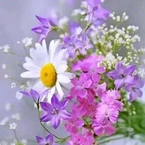 🌷心🌹心💝相💐印🌺