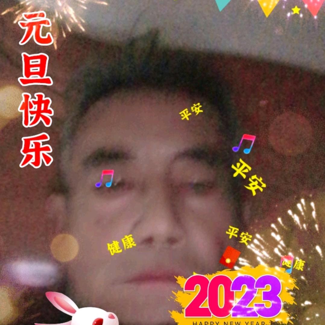 太阳花
