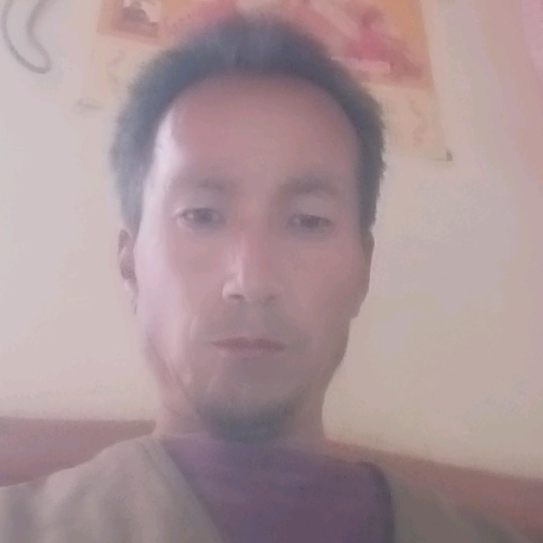 何宝娃