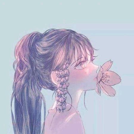 芙蓉🌺花开