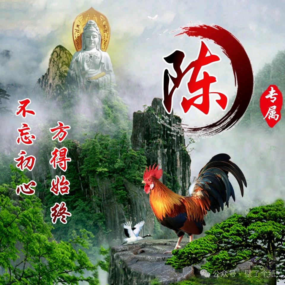 寻找友缘分的人