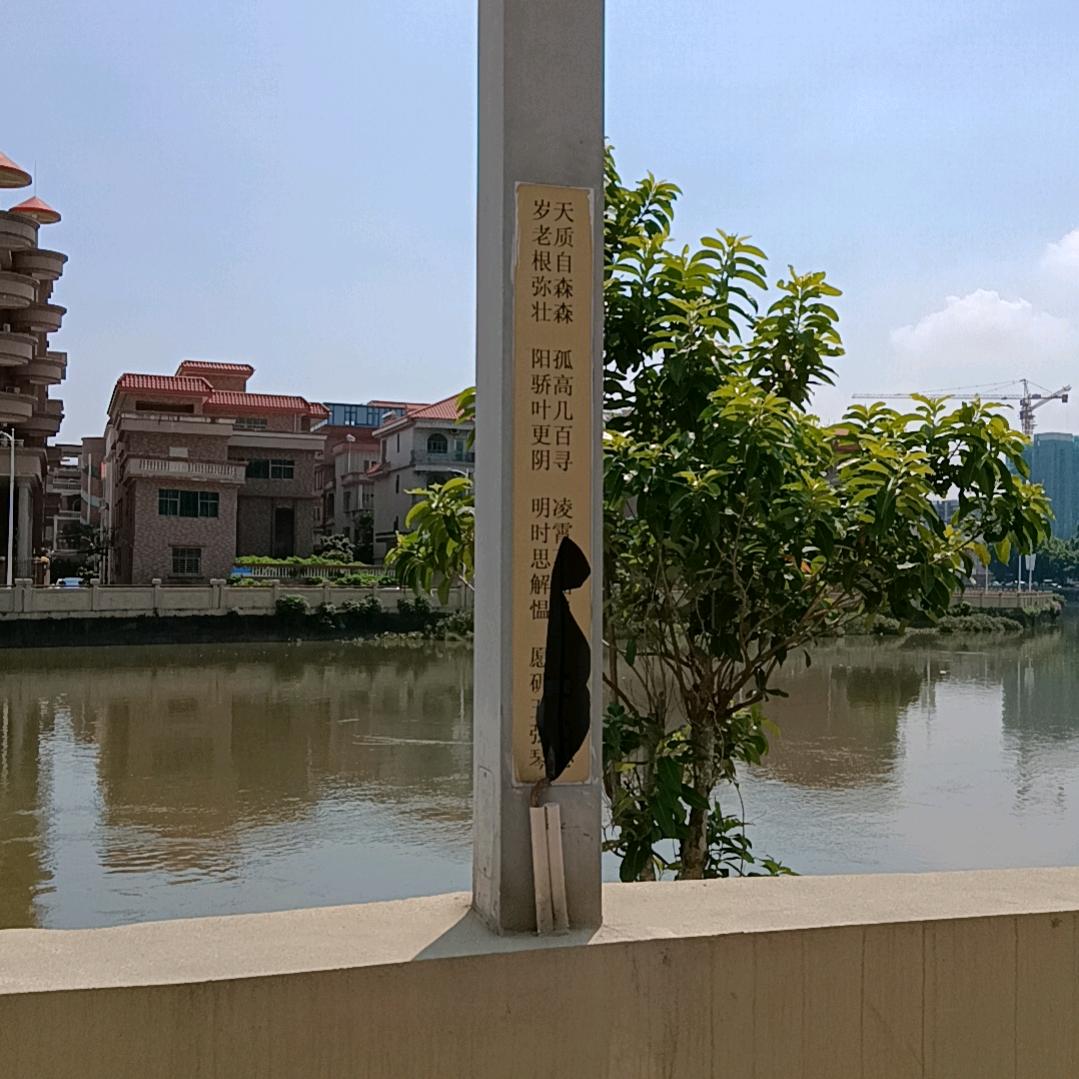 忠诚