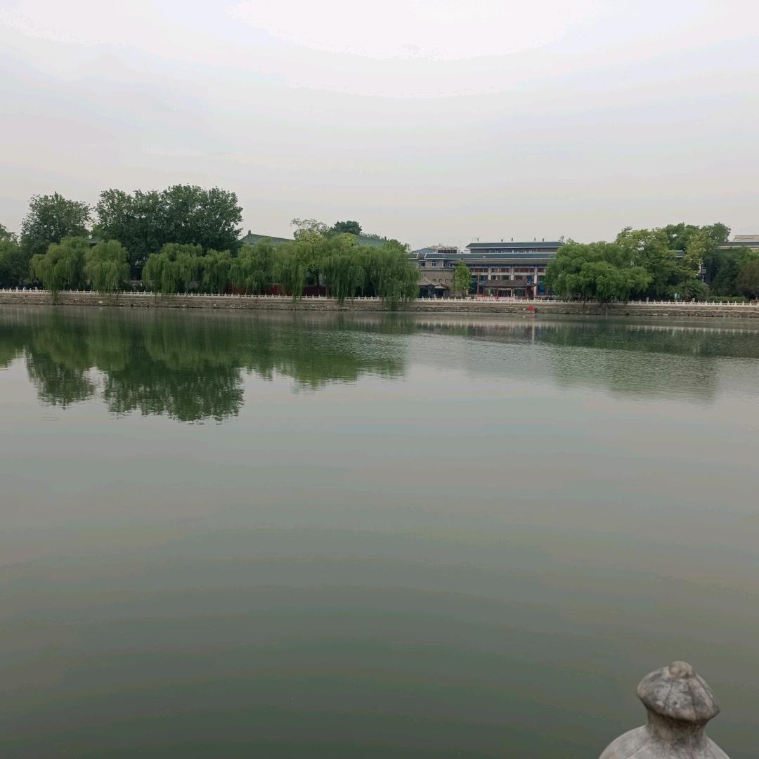 树杰